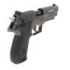 12493_LPNECC American Tactical GSG FireFly .22 LR Blue/Black Pistol
