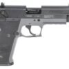 132119_SXQ6W3 American Tactical GSG Firefly 4-Inch Barrel .22 LR Smoke Pistol