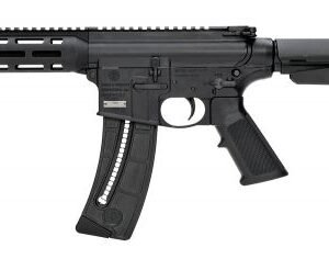 Smith & Wesson M&P15-22 Pistol Brace .22 LR Black Pistol