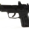 Ruger MAX-9 Long 9mm Black Pistol w/ ReadyDot Red Dot Sight