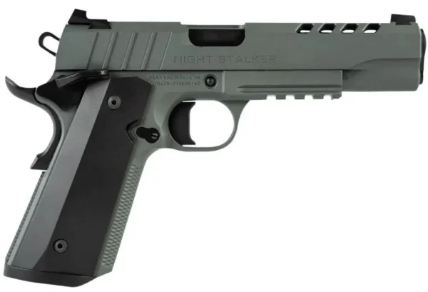 152728_2 Tisas 1911 Night Stalker Full-Size .45 ACP Platinum Grey Cerakote Pistol