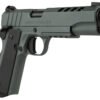 152728_IRHHTN Tisas 1911 Night Stalker Full-Size .45 ACP Platinum Grey Cerakote Pistol