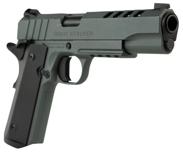 152728_IRHHTN Tisas 1911 Night Stalker Full-Size .45 ACP Platinum Grey Cerakote Pistol