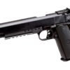 Rock Island Armory PRO Match Ultra Competition 6-inch 10mm Blue/Black Pistol