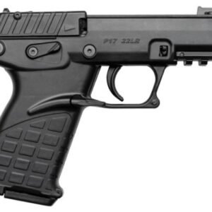 Kel-Tec P17 Compact .22 LR Black Pistol
