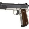 714036805_602HTI Tisas 1911 Duty Enhanced Full-Size .45 ACP Two-Tone Pistol